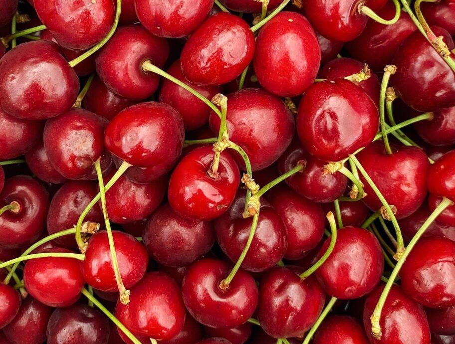 “La campagna delle ciliegie prosegue con discreti risultati”